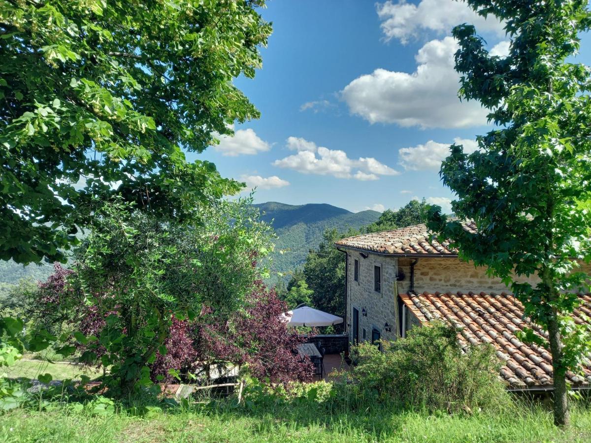 Valle Dame Cortona Buitenkant foto