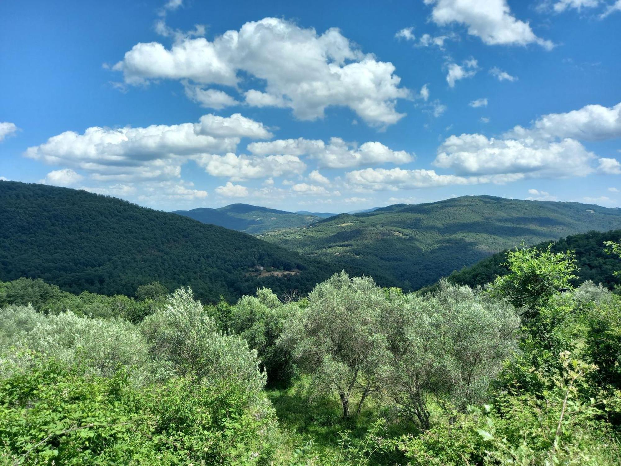 Valle Dame Cortona Buitenkant foto