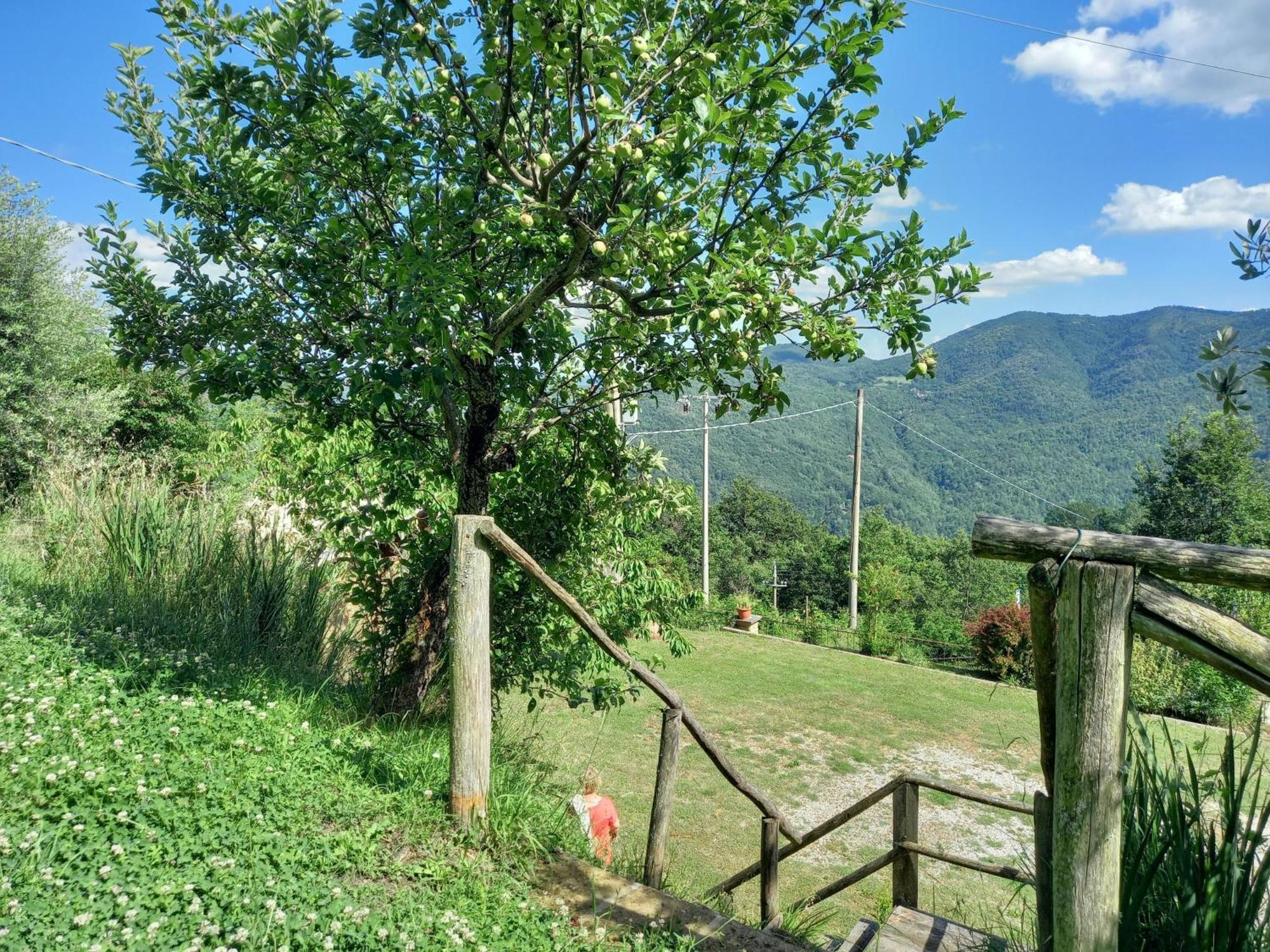 Valle Dame Cortona Buitenkant foto